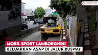 VIDEO: Mobil Sport Lamborghini Keluarkan Asap di Jalur Busway