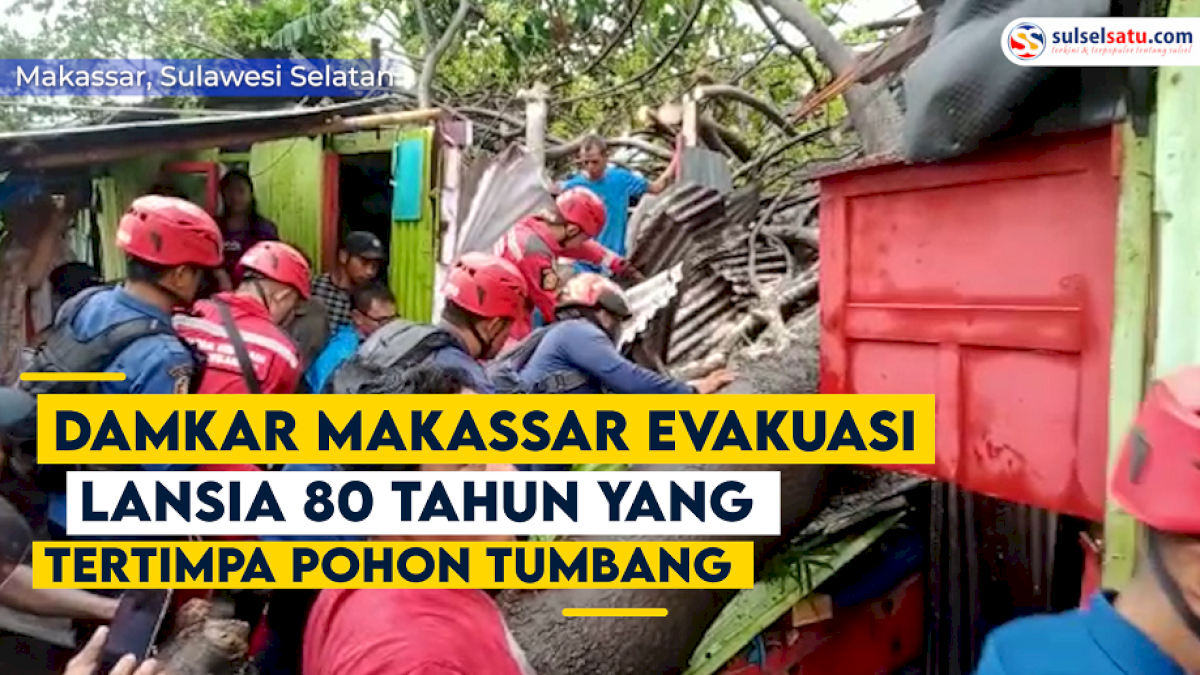 VIDEO: Damkar Makassar Evakuasi Lansia 80 Tahun yang Tertimpa Pohon Tumbang
