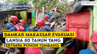 VIDEO: Damkar Makassar Evakuasi Lansia 80 Tahun yang Tertimpa Pohon Tumbang