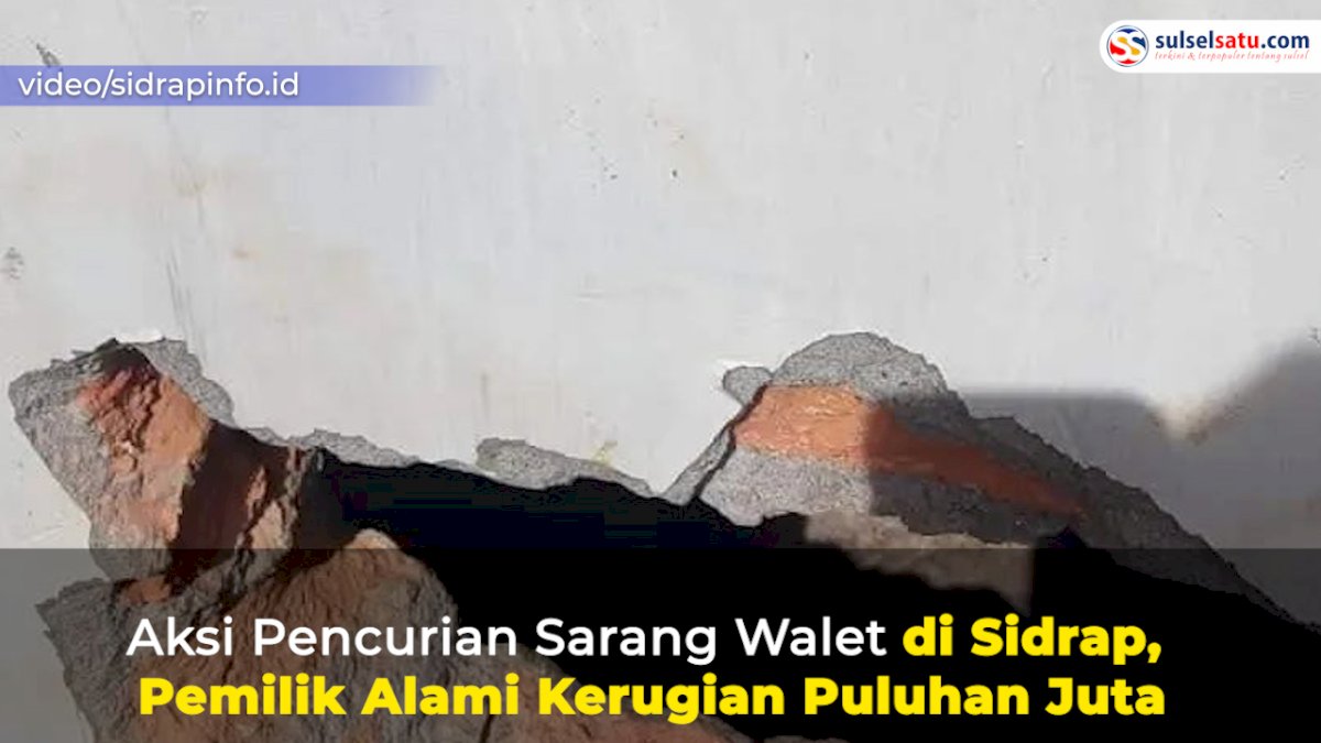 VIDEO: Aksi Pencurian Sarang Walet di Sidrap, Pemilik Alami Kerugian Puluhan Juta