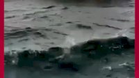 VIDEO: Fast Boat ke Nusa Penida dari Sanur Bali Tenggelam di Tengah Laut