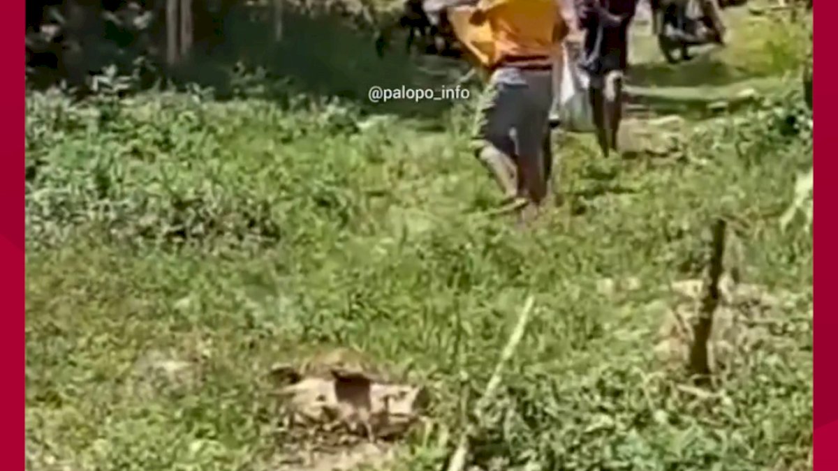 VIDEO: Penemuan Mayat Berseragam Sekolah Dekat Permandian Makawa Luwu