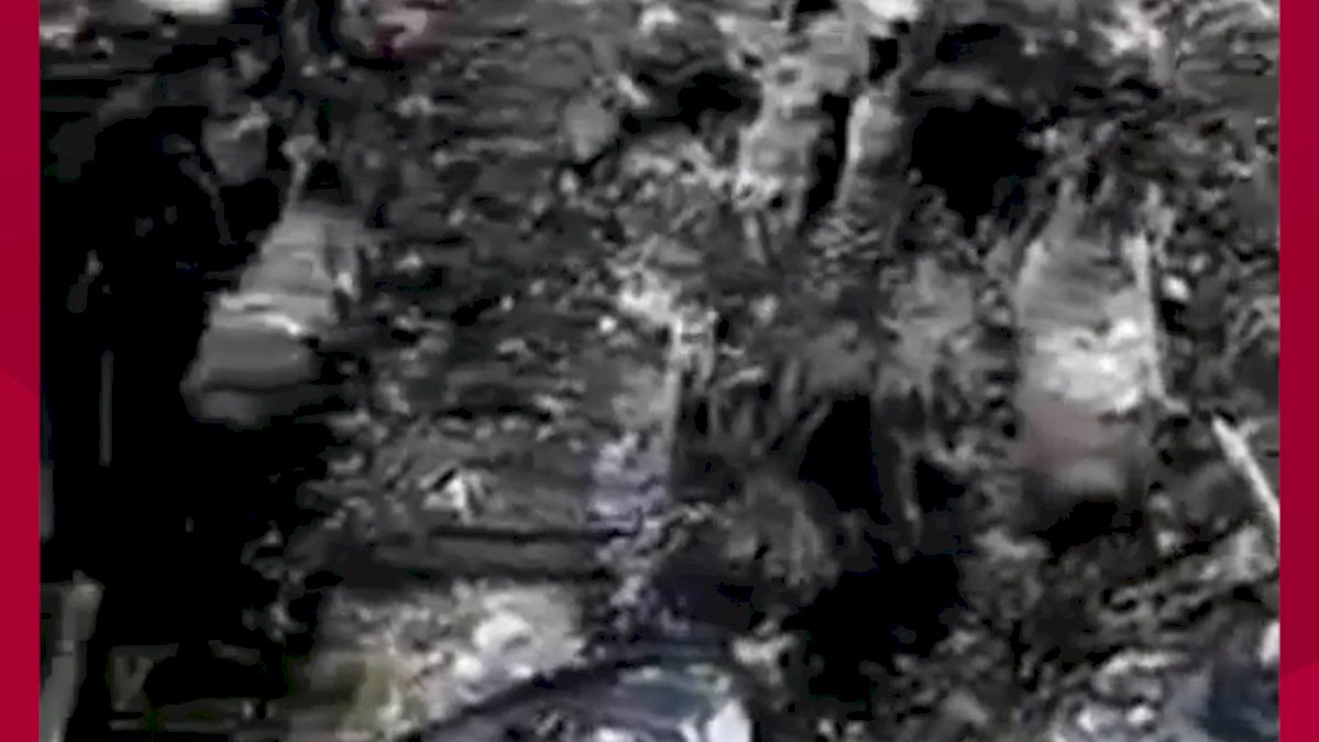 VIDEO: Motor Pengunjung Objek Wisata di Medan Ludes Dibakar OTK