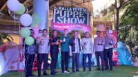 Nyicil Mobil Rasa Tunai Hanya Bisa di Pameran Otomotif Kalla Toyota Puppet Show