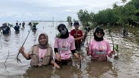 Wujud Nyata Menjaga Bumi, Srikandi Ganjar Sulsel Ajak Warga Tanam 500 Bibit Mangrove