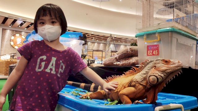 Pengunjung yang berkunjung ke pameran hewan peliharaan di TSM Makassar (dokumen: istimewa)