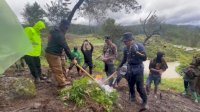 Pengungkapan Ladang Ganja di Bontocani, Polisi Masih Cari 3 Lokasi