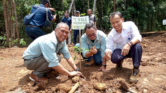 PT Vale secara simbolis menanam pohon dalam persemian Trans Water Park di Malili (dokumen: istimewa). 