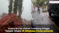 VIDEO: Cuaca Buruk, Pohon Tumbang hingga Tempat Wisata di Minahasa Porak-poranda
