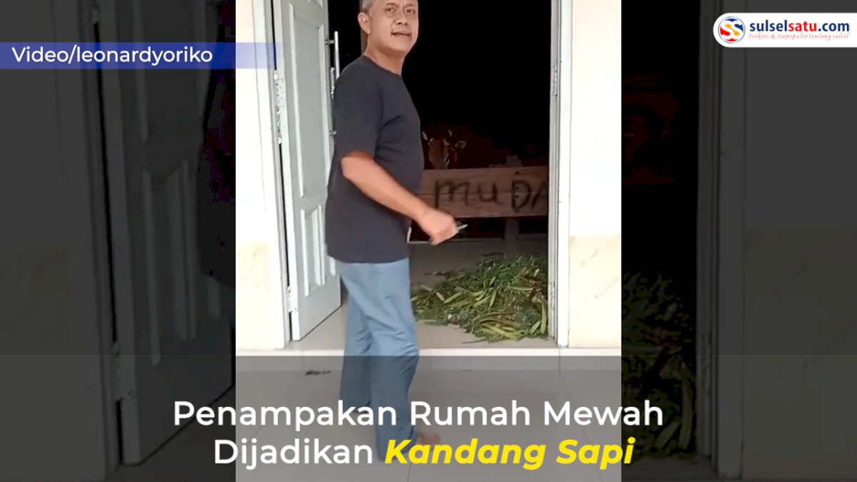 VIDEO: Penampakan Rumah Mewah yang Dijadikan Kandang Sapi