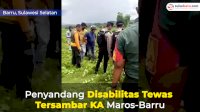 VIDEO: Penyandang Disabilitas Tewas Tersambar KA Maros-Barru