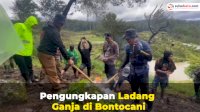 VIDEO: Polisi Temukan Ladang Ganja di Bontocani