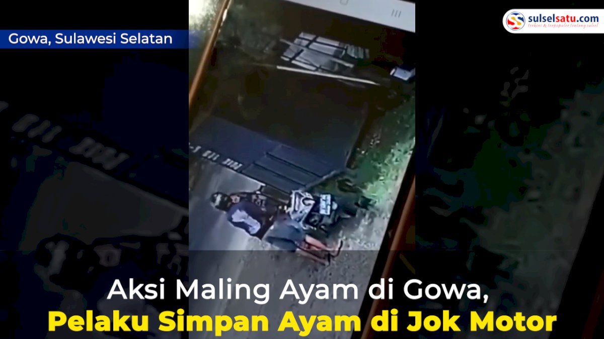 VIDEO: Aksi Maling di Gowa Terekam CCTV, Pelaku Simpan Ayam di Jok Motor