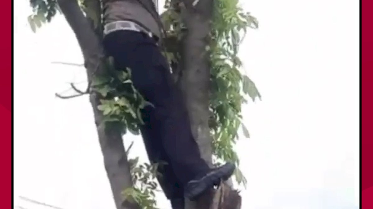 VIDEO: Aksi Polisi Rapikan Kabel di Jalan Melingkar Parepare, Warganet: Surgaki Pak