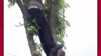 VIDEO: Aksi Polisi Rapikan Kabel di Jalan Melingkar Parepare, Warganet: Surgaki Pak