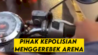 VIDEO: Polisi Gerebek Arena Judi Ayam, Amankan 80 Orang