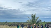 Mahasiswa KKN UNM Tanam 500 Mangrove di Pasangkaya