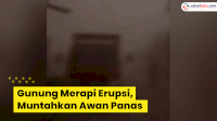 VIDEO: Gunung Merapi Erupsi, Muntahkan Awan Panas