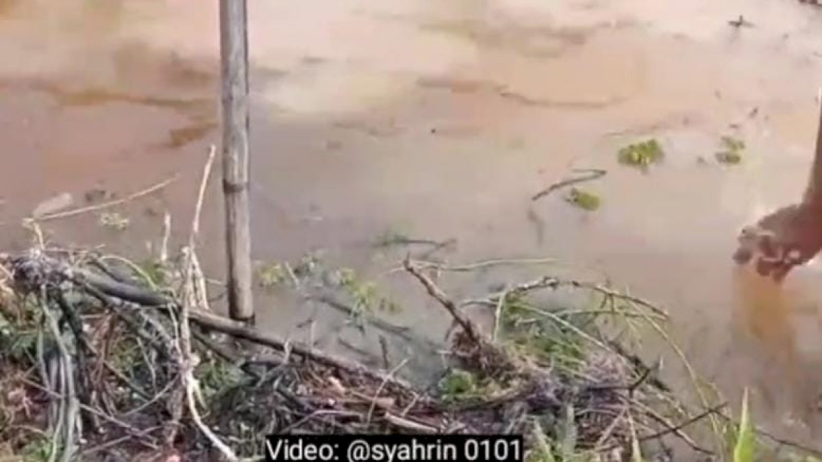 VIDEO: Warga di Kecamatan Daha Selatan Berjuang Mengubur Jenazah di Tengah Banjir