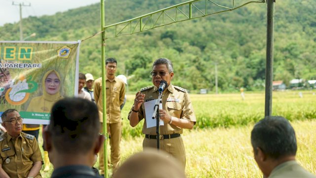 Wali Kota Parepare Taufan Pawe. (Foto: Ist)