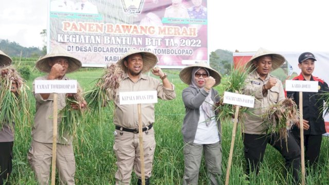 Panen Perdana Bawang Merah Kegiatan Bantuan BTT T.A. 2022 di Desa Bolaromang, Kecamatan Tombolo Pao (dokumen: istimewa).