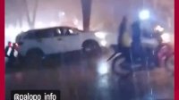 VIDEO: Pohon Tumbang di Palopo, Akses Jalan Trans Sulawesi Macet Total