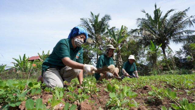 PT Vale komitmen menghadirkan kinerja keberlanjutan dalam setiap prosesnya (dokumen: istimewa)