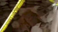 VIDEO: Viral, Penemuan Biji Nikel di Dalam Sebuah Kamar Kost di Morosi