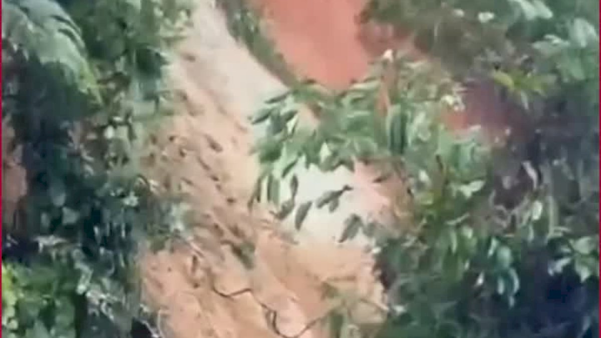 VIDEO: Detik-detik Tanah Longsor Tutup Akses Jalan Palopo-Bastem