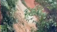 VIDEO: Detik-detik Tanah Longsor Tutup Akses Jalan Palopo-Bastem
