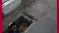 VIDEO: Penampakan Lubang Drainase Tanpa Penutup di Jalan Hertasning Makassar