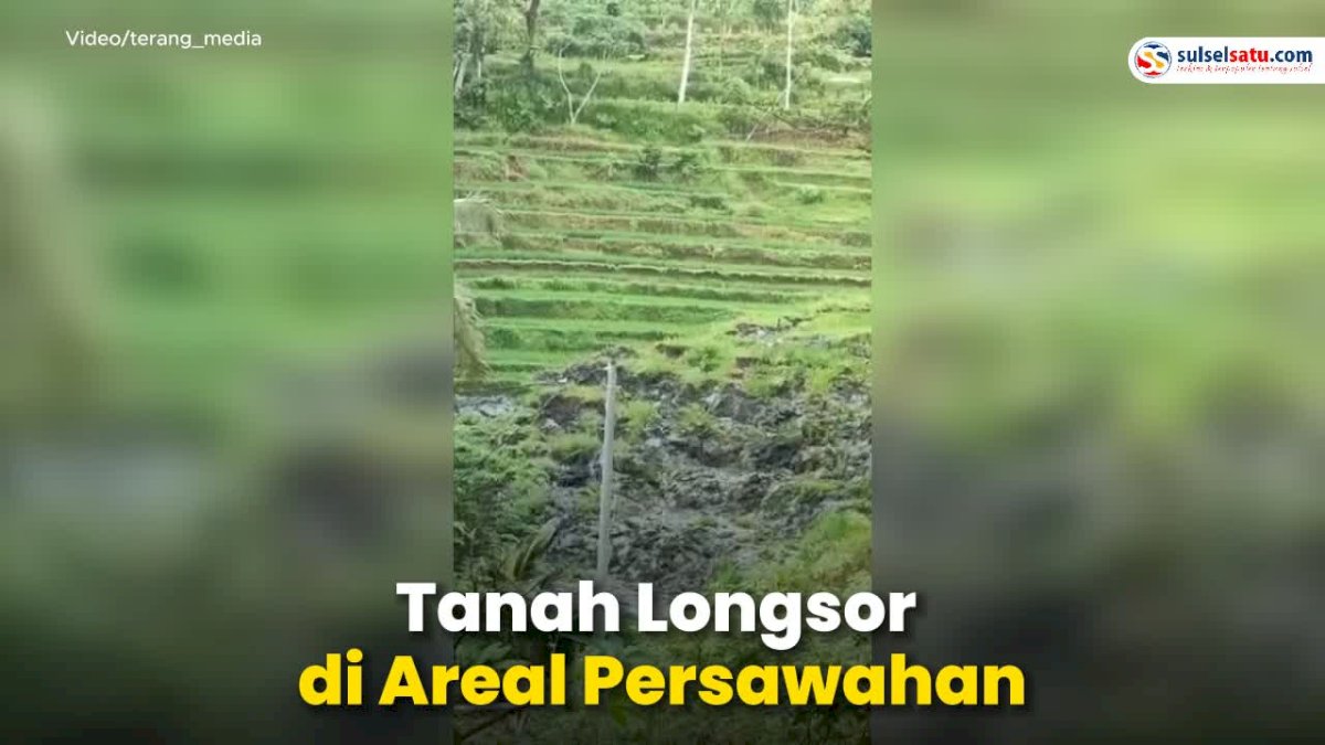 VIDEO: Bikin Heboh, Detik-detik Tanah Longsor di Areal Persawahan