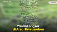 VIDEO: Bikin Heboh, Detik-detik Tanah Longsor di Areal Persawahan