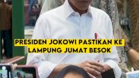 VIDEO: Jokowi Dijadwalkan ke Bandar Lampung Cek Jalanan Rusak