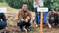 Andi Sudirman Kembali Tanam 1 Juta Bibit Murbei di Wajo