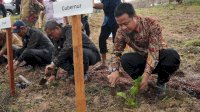 Wajo Kembali Produksi Kokon Setelah 20 Tahun, Bupati Amran: Terima Kasih Pak Gubernur