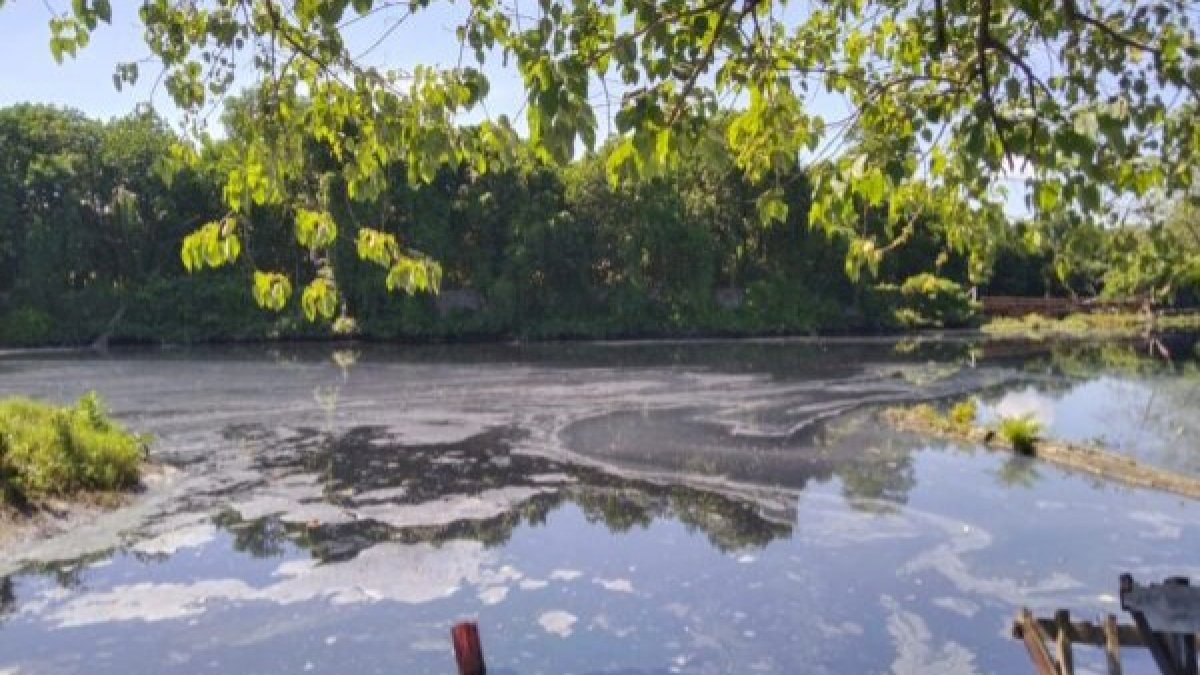 Sungai Tallo Tercemar Parah Membuat Warga Alergi Gatal, Pemkot Pastikan Pelaku Disanksi