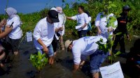 Pelindo Jasa Maritim Bersama Komunitas Tanam Seribu Mangrove di Pantai Pakko Takalar