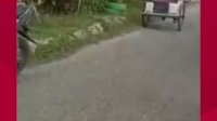VIDEO: Pulang dari Tarik Becak, Rumah Tukang Becak di Barru Dilalap Si Jago Merah