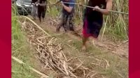 VIDEO: Mobil Google Maps Nyasar dan Terjebak di Perkebunan di Malang