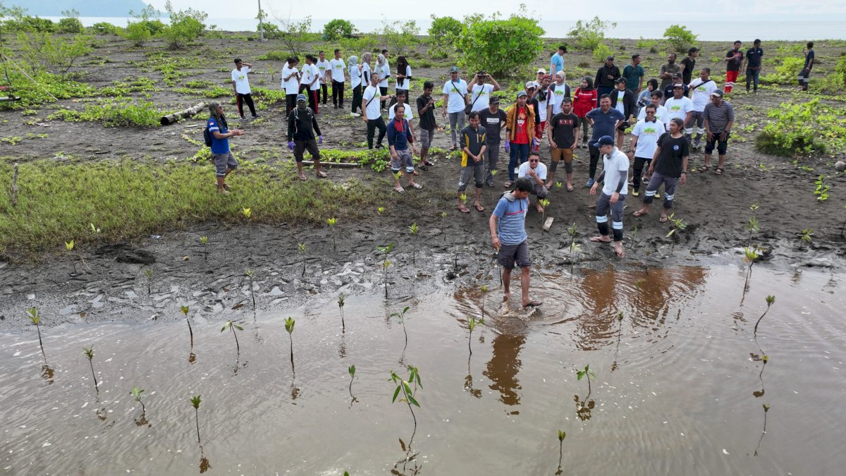 PT Vale IGP Morowali Gelar Kegiatan Bersih Pantai dan Tanam Mangrove Bentuk Komitmen Lestarikan Lingkungan
