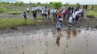 PT Vale IGP Morowali Gelar Kegiatan Bersih Pantai dan Tanam Mangrove Bentuk Komitmen Lestarikan Lingkungan