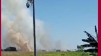 VIDEO: Kebakaran di Lahan Kawasan Bandara Sultan Hasanuddin Makassar