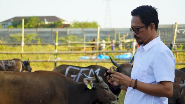 Stok sapi kurban di RPH Tamangapa Antang (Foto: Istimewa)
