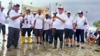 Rektor UNM Pimpin Penanaman 1.000 Pohon Mangrove di Pesisir Pantai Majene