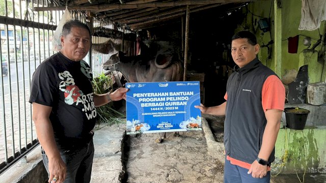 Sapi kurban Pelindo Regional 4 (Foto: Istimewa)