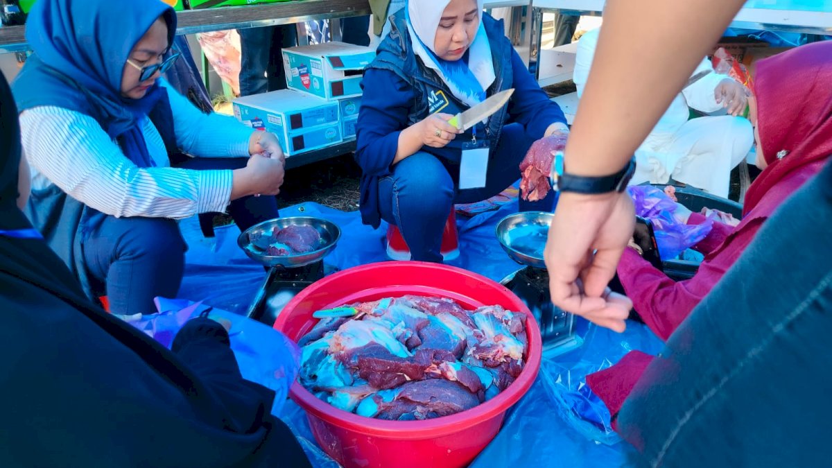 Bacaleg NasDem Ismail Manda Kurban 6 Ekor Sapi