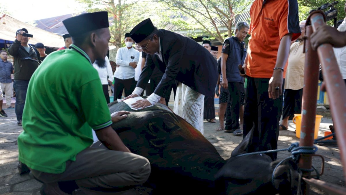Danny Pomanto Saksikan Pemotongan Hewan Kurban dan Gelar Open House