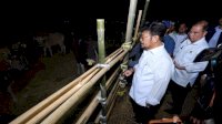 Sekda Gowa Dampingi Mentan RI Tinjau Ketersediaan Hewan Kurban, Pastikan Stok Aman Jelang Idul Adha