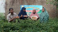 Warga Mariso Hasilkan Rp500 Ribu Per Bulan dari Tanam Cabai, Buah Kekompakan dan Program Lorong Wisata